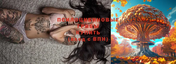 первитин Алексеевка