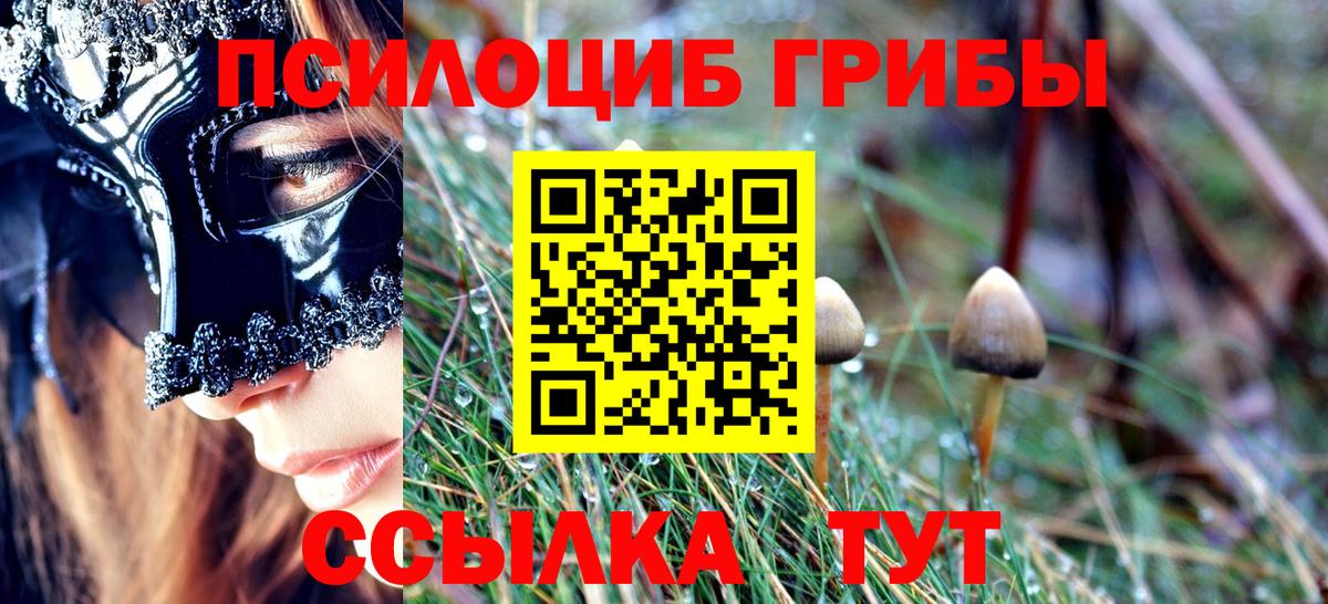 Псилоцибиновые грибы ЛСД Вологда